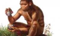 The findings identify human origin
