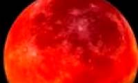 The first live video of the