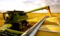 The first soybean research center in Vietnam