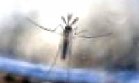 The first two people infected with Zika virus due to homosexual relationships