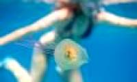 The fish came into me with jellyfish to ride
