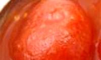 The food experts will avoid using
