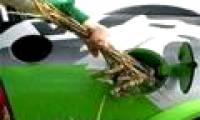 The future of vehicles powered by 'grass' energy