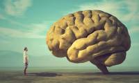 The growing brain affects human health