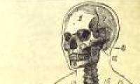 The hardest secrets about the human body
