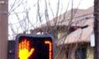 The harmful effects of traffic lights count down