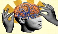 The hidden fuel of the human brain: How gut bacteria shape intelligence?