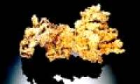 The higher the price of gold, the more destroyed the Amazon forest