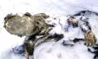 The highest mummy of three mountain climbers in Mexico