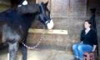 The horse remembers and adjusts the behavior according to his expression