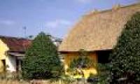 The houses with straw roofs in the capital of eight Nam Dinh rice
