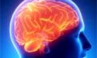 The human brain is depressed