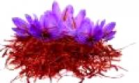 The interesting secret of saffron - the world's most expensive spice of nearly 1 billion / kg