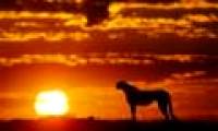 The largest desert - desert in the world (2)