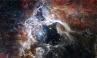 The largest star ever known in the universe, hundreds of times more massive than our Sun