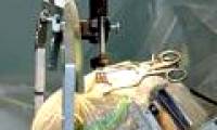 The magic of virtual therapy 'Placebo