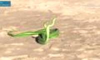 The mamba snake plays a battle against a partner on the beach