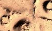 The mark of the suspect is of ancient civilization on Mars