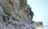 The meteorite that has become extinct only affects algae for a short time