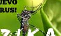 The Ministry of Health warns against mosquito-borne viruses transmitted by mosquitoes in Vietnam