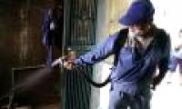The mosquitoes transmit dengue fever dense in Hanoi