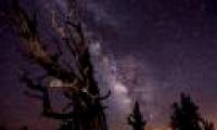 The most beautiful astronomical images of 2010
