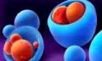 The most breakthrough scientific images in 2009