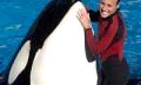The most exotic animals in 2010
