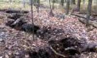 The mysterious crack is 110 meters long in the American forest