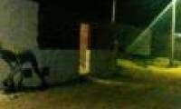 The mysterious creature 'half-human, half-animal' scared the villagers