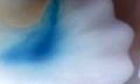 The mysterious genome forms the thumb in humans