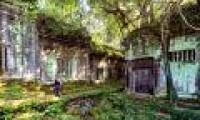 The mystery of an ancient temple sits deep in the forest in Cambodia
