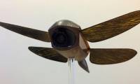 The Mystery of Biology: Why Can't We Build Airplanes With Wings Like Dragonflies?