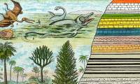 The mystery of the 11 mass extinctions on Earth and the prediction of the 12th event