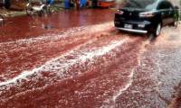 The mystery of the 'blood rain' that appears continuously in India