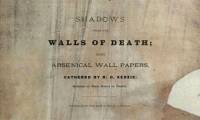 The mystery of the book that can kill readers