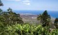 The mystery of the island is regarded as hell for Charles Darwin