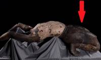 The mystery of the statue lying on its back, hands on the ground in the tomb of Qin Shi Huang