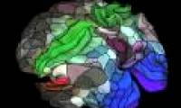 The new brain map revealed 97 unknown regions