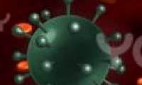 The new vaccine has the ability to prevent HIV / AIDS virus
