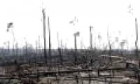The New York Times: Analysis of satellite images has pinpointed the culprit in the Amazon forest fire