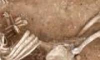 The newly discovered skeleton in Caistor made archaeologists confused