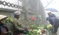 The North continues to cold rain, the South has seasonal rains