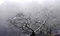 The northern provinces are very cold, the mountainous areas are cold