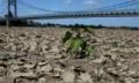 The number of deaths due to hot weather in Europe increased sharply