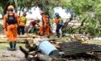 The number of people killed by the tsunami in Indonesia is nearly 400
