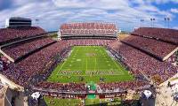 The numbers talk about the 5 stadiums with the largest capacity in the world