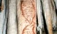 The oldest drawings of humanity