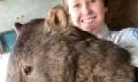 The oldest pocket bear in the world