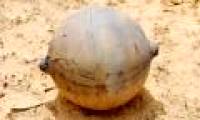 The origin of the mysterious sphere in the sky falls